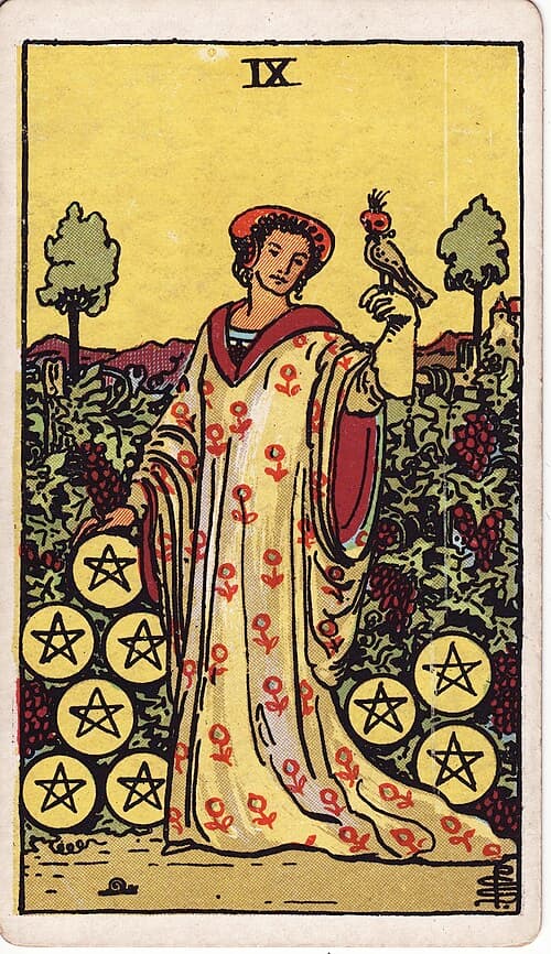Nine of Pentacles Tarot Card